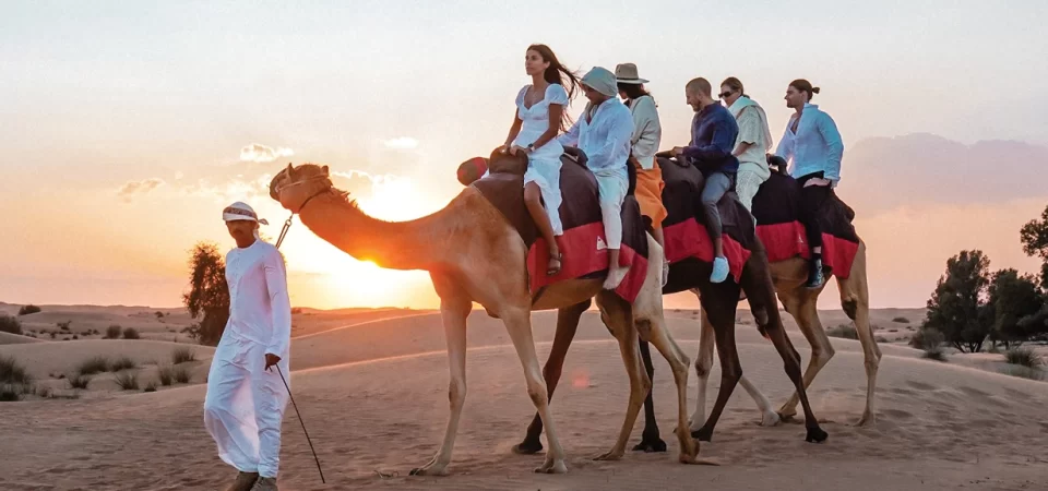Camel Ride in evening desert safari